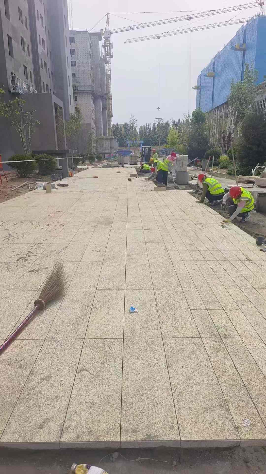 遵义黄金麻荔枝面地铺案例