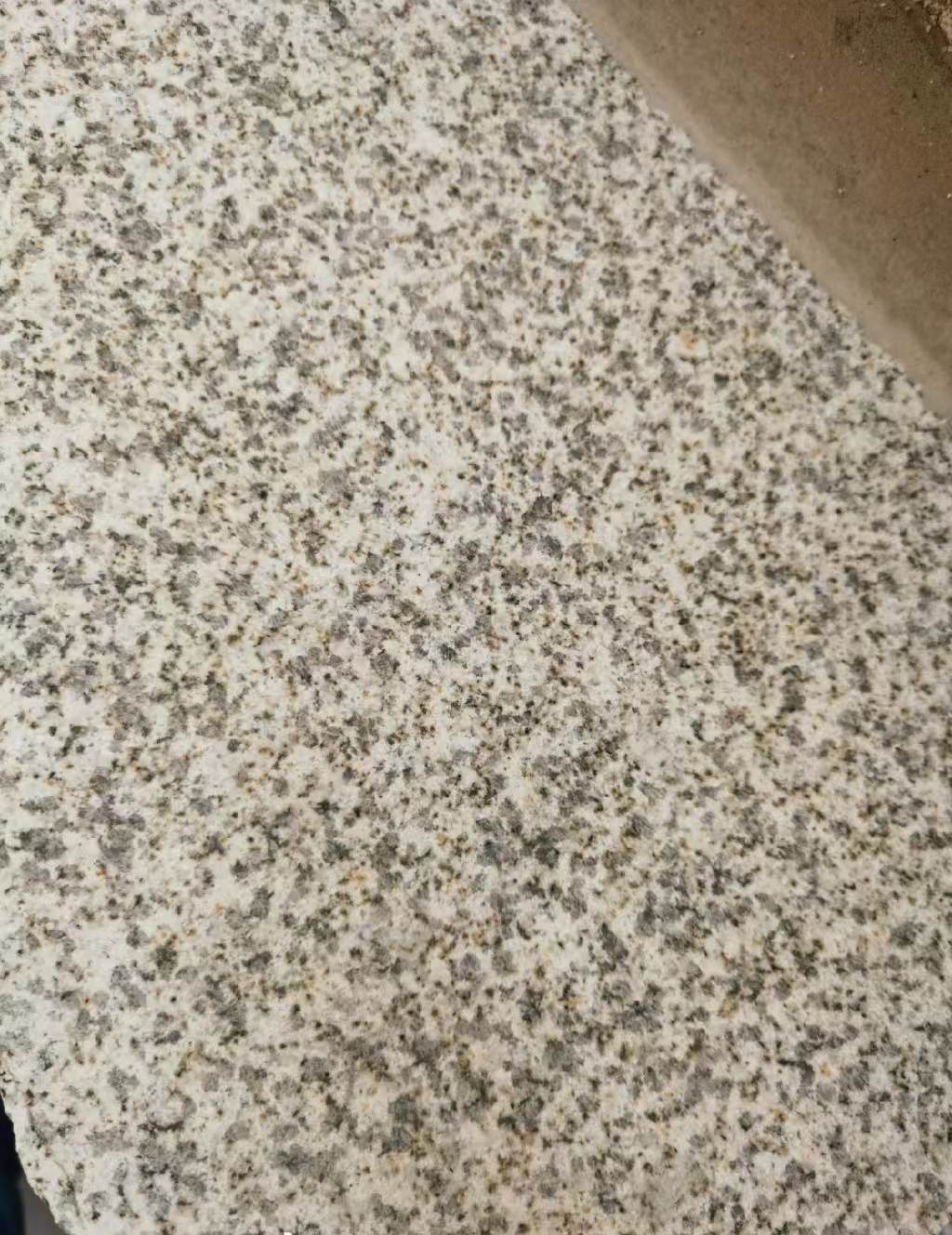 遵义 黄金麻中黄光面